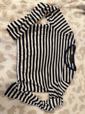 Zara Striped Knit Crewneck